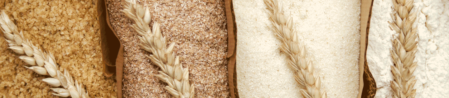 How Wheat is Used in Our Dog Foods